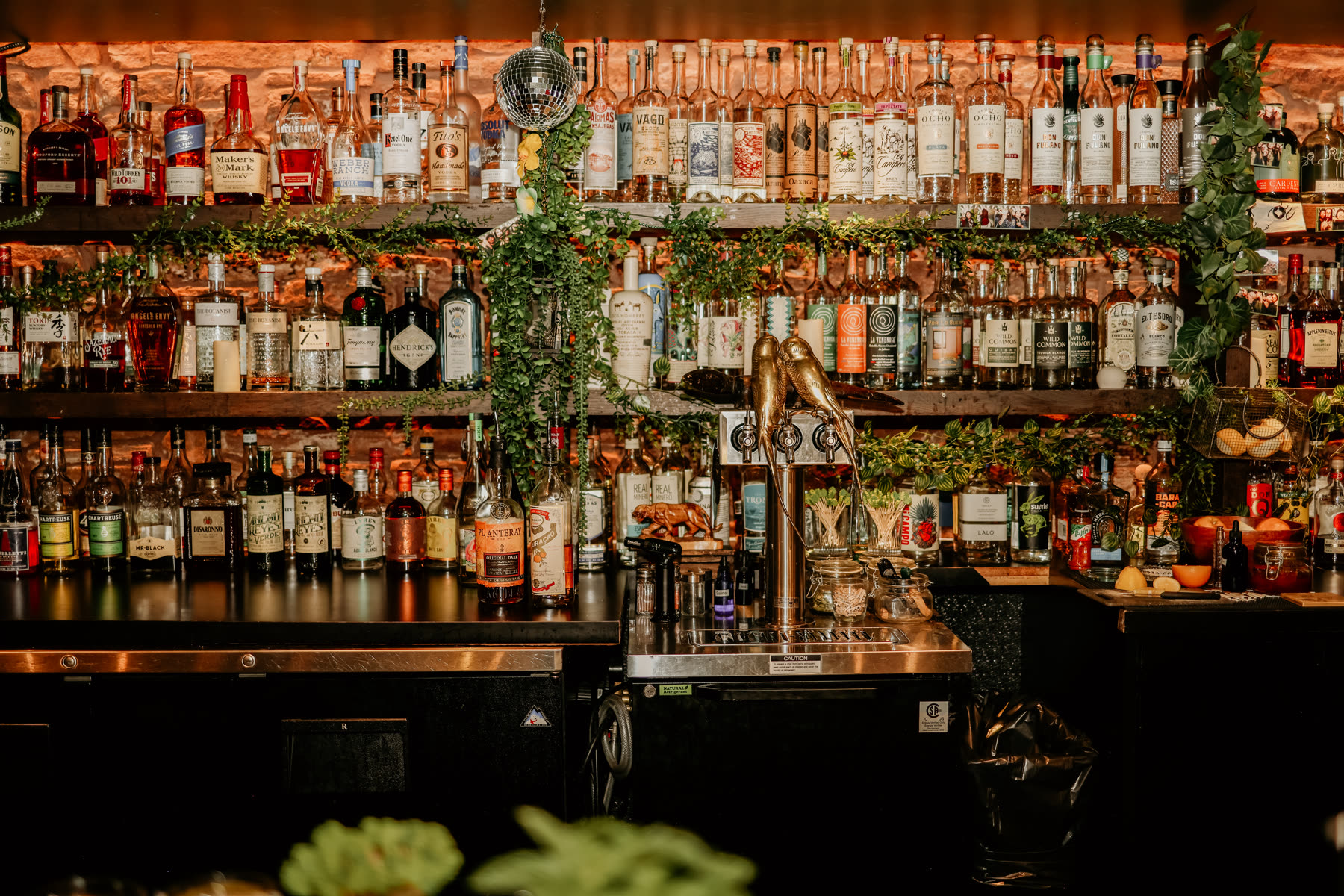 The back bar at Emerald Eye: bottles stacked to the ceiling, trailing ivy and warm uplight