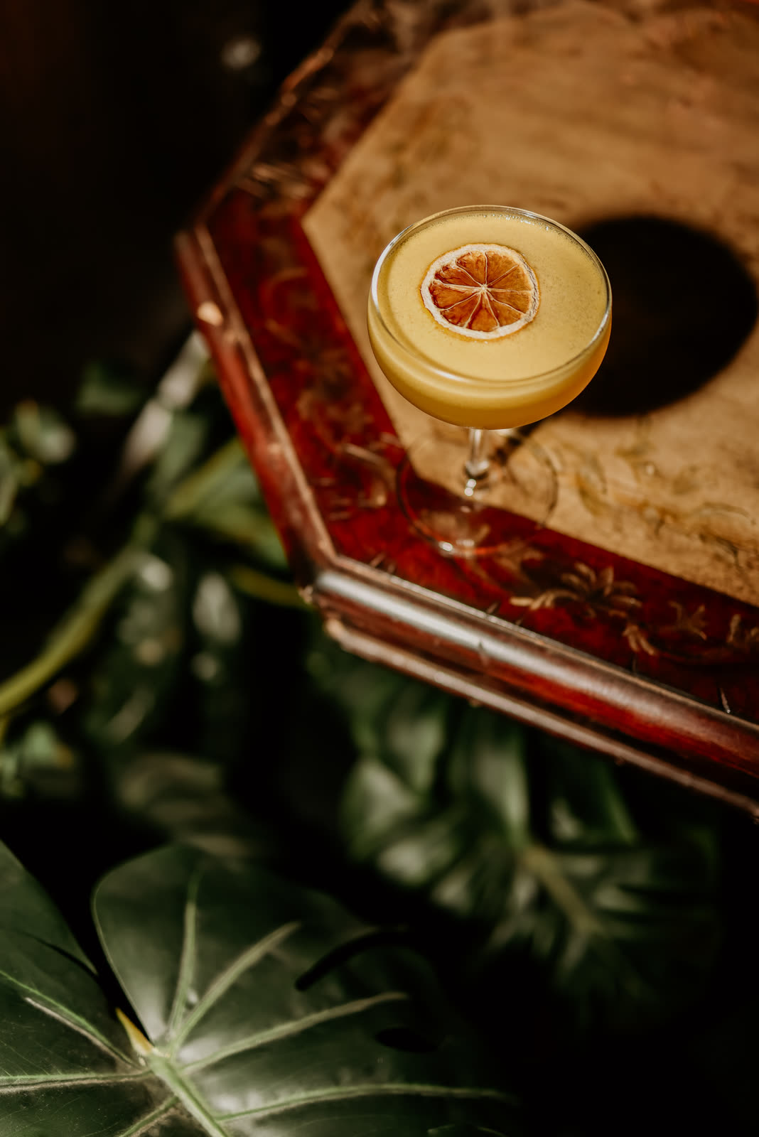 A coupe with a dried citrus wheel resting on an inlaid lacquer box among monstera leaves